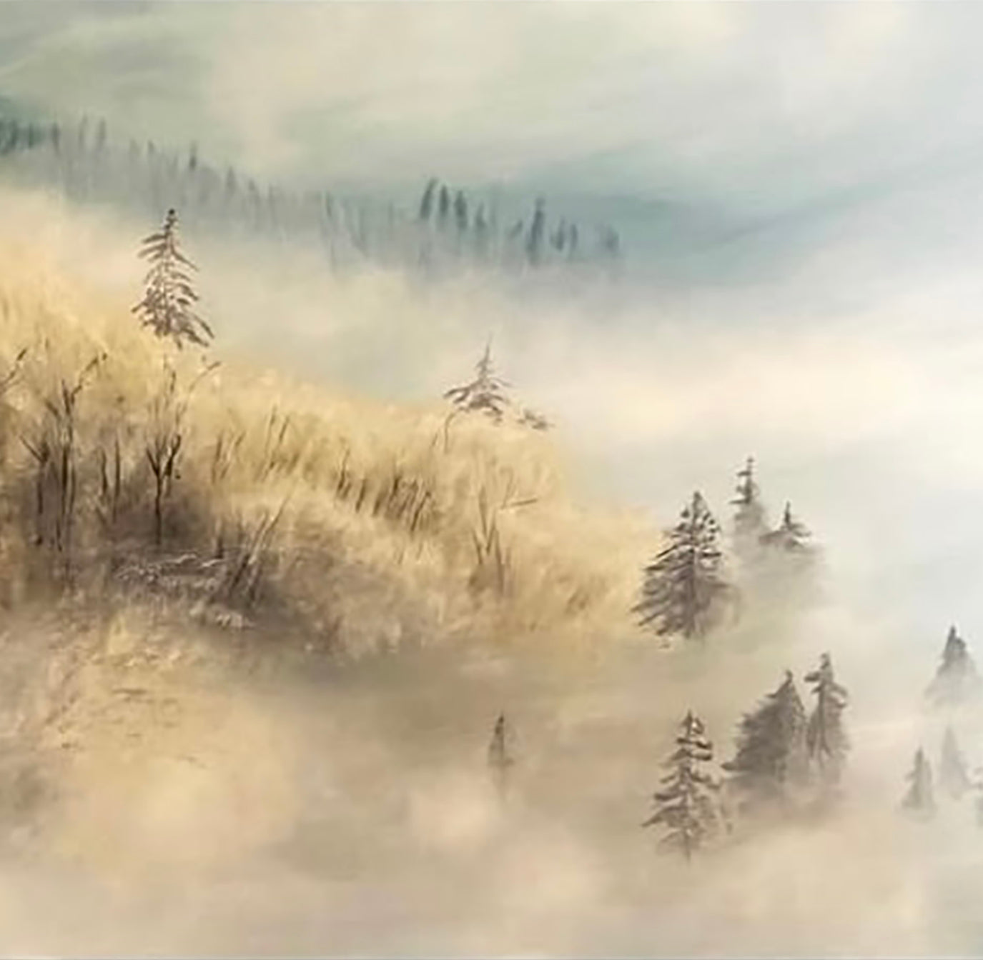 Misty Morning