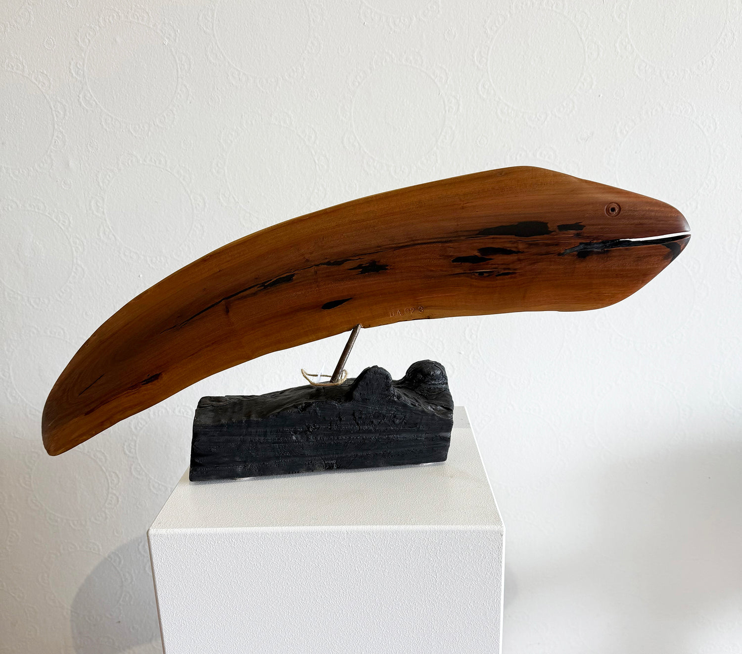 'Lucy' The Moray Eel