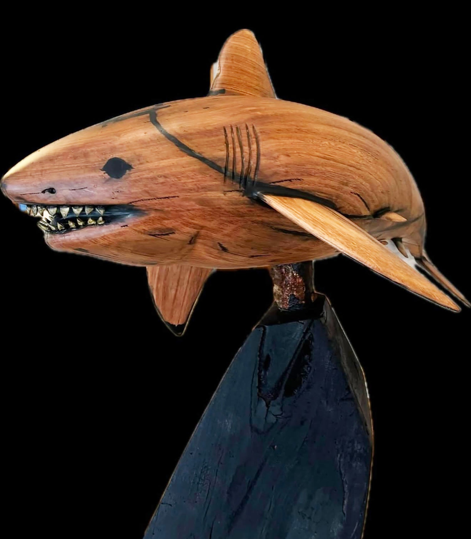 'Colossus' Great White